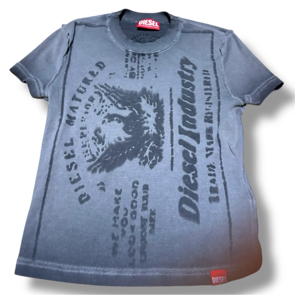 Diesel Gray Graphic reversible Fitted Tee